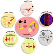 Graphical abstract: Red emissive carbon dots: a promising next-generation material with intracellular applicability