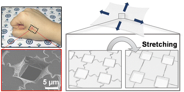 Graphical abstract: Skin breathable and stretchable electrode based on square-shaped AgNW bundle mesh with wavy bridges