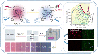 Graphical abstract: Facile preparation of a hydrophilic Eu-based ratiometric fluorescent nanosensor for Cu2+ ion detection and imaging in living cells