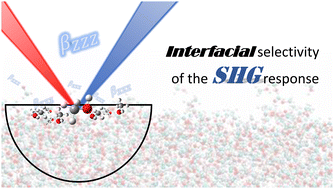 Graphical abstract: Disentangling the molecular polarizability and first hyperpolarizability of methanol–air interfaces