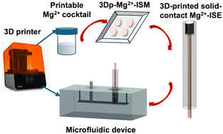 Graphical abstract: Integration of 3D printed Mg2+ potentiometric sensors into microfluidic devices for bioanalysis