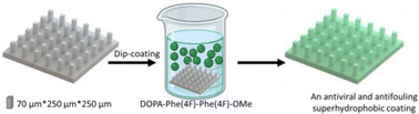 Graphical abstract: An antifouling and antiviral superhydrophobic elastomer formed by 3D printing and a peptide-based coating