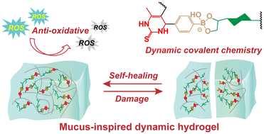 Graphical abstract: Self-healing and anti-oxidative mucus-inspired hydrogel