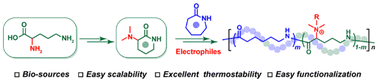 Graphical abstract: Scalable access to functional nylon 6 via ring-opening copolymerization of biobased δ-valerolactam with ε-caprolactam
