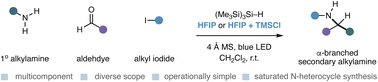 Graphical abstract: Modular synthesis of α-branched secondary alkylamines via visible-light-mediated carbonyl alkylative amination