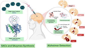 Graphical abstract: Atomically dispersed single-atom catalysts (SACs) and enzymes (SAzymes): synthesis and application in Alzheimer's disease detection