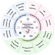 Graphical abstract: Nanomaterial-based therapeutics for enhanced antifungal therapy