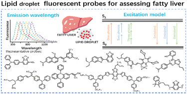 Graphical abstract: Recent advances in fluorescent probes for fatty liver imaging by detecting lipid droplets