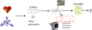 Graphical abstract: Sustainable reservoir computing with liquid egg albumen