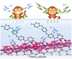 Graphical abstract: Zn2+-blocking effects of a proton-rich polyaniline layer enable Ah-level Zn–MnO2 batteries