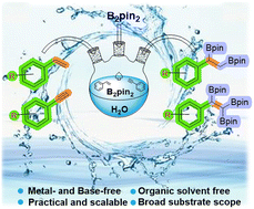 Graphical abstract: Water-assisted diboron activation: efficient synthesis of alkyl 1,2-bis(boronates) and 1,1,2-tris(boronates)