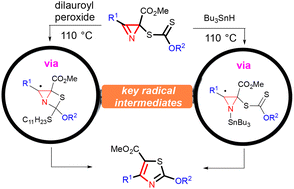 Graphical abstract: Synthesis of thiazoles by desulfurative cyclization/ring expansion cascade reaction of S-azirinyl xanthates: two mechanistically distinct radical pathways