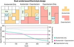 Graphical abstract: Dual-amide strategy for quaternary aqueous electrolytes