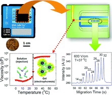 Graphical abstract: Reversible thermo-responsive sieving matrix for oligonucleotide separation