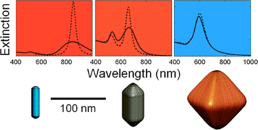 Graphical abstract: Modelling the optical response of gold nanoparticles