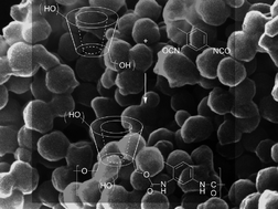 Graphical abstract: Polymeric cyclodextrin-based nanoparticles: synthesis, characterization and sorption properties of three selected pharmaceutically active ingredients