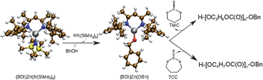 Graphical abstract: DFT investigations on the ring-opening polymerization of cyclic carbonates catalyzed by zinc-{β-diiminate} complexes
