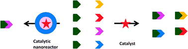 Graphical abstract: Molecular recognition driven catalysis using polymeric nanoreactors