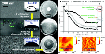 Graphical abstract: Silver nanoparticles in a polyether-block-polyamide copolymer towards antimicrobial and antifouling membranes