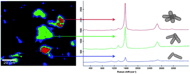 Graphical abstract: Raman spectroscopic characterization of single walled carbon nanotubes: influence of the sample aggregation state