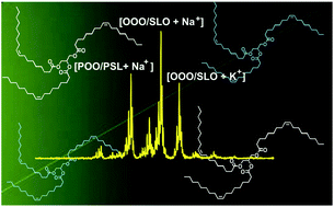 Graphical abstract: Quantitation of triacylglycerols in vegetable oils and fats by easy ambient sonic-spray ionization mass spectrometry