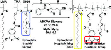 Graphical abstract: Synthesis and characterization of transferrin-targeted chemotherapeutic delivery systems prepared via RAFT copolymerization of high molecular weight PEG macromonomers