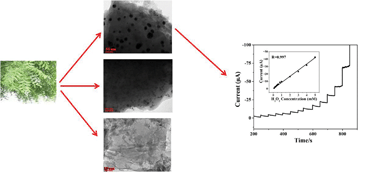 Graphical abstract: A facile one-pot green synthesis of reduced graphene oxide and its composites for non-enzymatic hydrogen peroxide sensor applications