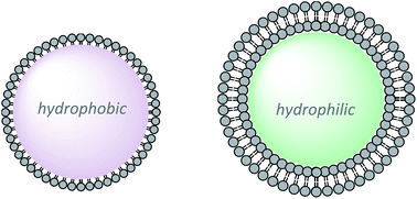 Graphical abstract: Impact of lung surfactant on wettability and cytotoxicity of nanoparticles