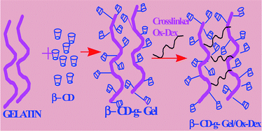 Graphical abstract: Novel pH switchable gelatin based hydrogel for the controlled delivery of the anti cancer drug 5-fluorouracil