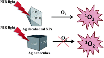 Graphical abstract: Morphology dependent photosensitization and formation of singlet oxygen (1Δg) by gold and silver nanoparticles and its application in cancer treatment