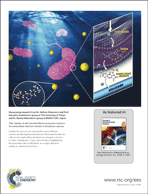 Graphical abstract: Inside back cover