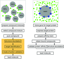 Graphical abstract: Functional chromatographic technique for natural product isolation