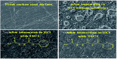 Graphical abstract: Electrochemical and theoretical study of the inhibition effect of two synthesized thiosemicarbazide derivatives on carbon steel corrosion in hydrochloric acid solution