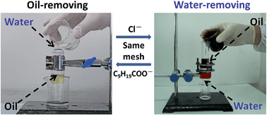 Graphical abstract: A switchable mesh for on-demand oil–water separation
