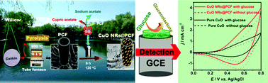 Graphical abstract: Novel bamboo leaf shaped CuO nanorod@hollow carbon fibers derived from plant biomass for efficient and nonenzymatic glucose detection