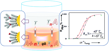 Graphical abstract: Determination of ion pairing on capping structures of gold nanoparticles by phase extraction