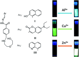 Graphical abstract: Selective aqueous fluorescent probes for metal ions based on benzoyl hydrazone derivatives