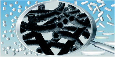 Graphical abstract: A bioscaffolding strategy for hierarchical zeolites with a nanotube-trimodal network
