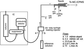 Graphical abstract: On-line separation of strontium from a matrix and determination of the 87Sr/86Sr ratio by Ion Chromatography/Multicollector-ICPMS