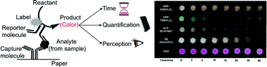 Graphical abstract: Assessment of colorimetric amplification methods in a paper-based immunoassay for diagnosis of malaria