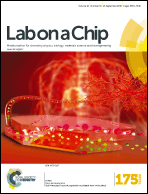 Graphical abstract: Front cover