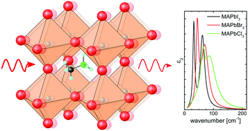 Graphical abstract: Optical phonons in methylammonium lead halide perovskites and implications for charge transport