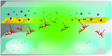 Graphical abstract: Surface-enhanced Raman spectroscopy and microfluidic platforms: challenges, solutions and potential applications