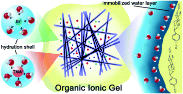 Graphical abstract: The gelation influence on diffusion and conductivity enhancement effect in renewable ionic gels based on a LMWG