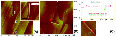 Graphical abstract: Electrochemically controlled winding and unwinding of substrate-supported carbon nanoscrolls