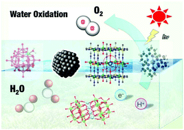 Graphical abstract: Kinetics and mechanisms of catalytic water oxidation