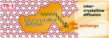 Graphical abstract: Diffusion of methyl oleate in hierarchical micro-/mesoporous TS-1-based catalysts probed by PFG NMR spectroscopy