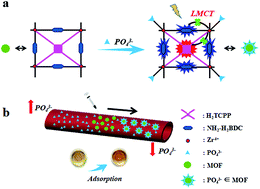 Graphical abstract: Treatment of hyperphosphatemia based on specific interactions between phosphorus and Zr(iv) active centers of nano-MOFs