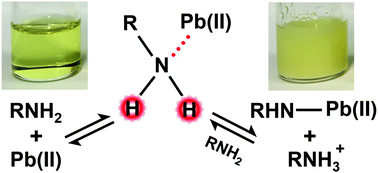 Graphical abstract: Amine additive reactions induced by the soft Lewis acidity of Pb2+ in halide perovskites. Part I: evidence for Pb–alkylamide formation