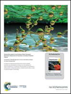 Graphical abstract: Back cover